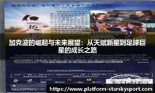 星空体育平台